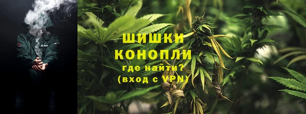 ешки Алзамай