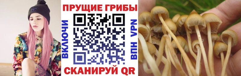 где купить наркоту Йошкар-Ола Галлюциногенные грибы мухоморы